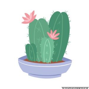 Meet your Posher, Kali